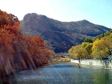 管家婆黑白马报图库，酢狗